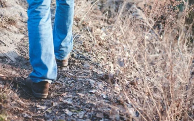 Walking Difficulties