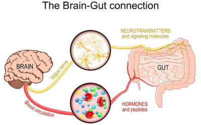 IBD and MS: Is There a Connection?