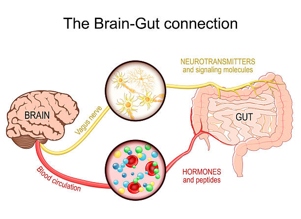 IBD and Multiple Sclerosis connection